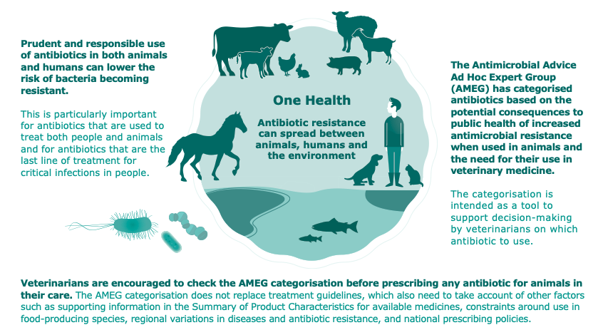 European Medicines Agency ranks animal antibiotics and appropriate ways to  use them to protect public health | Antimicrobial Resistance Research Hub